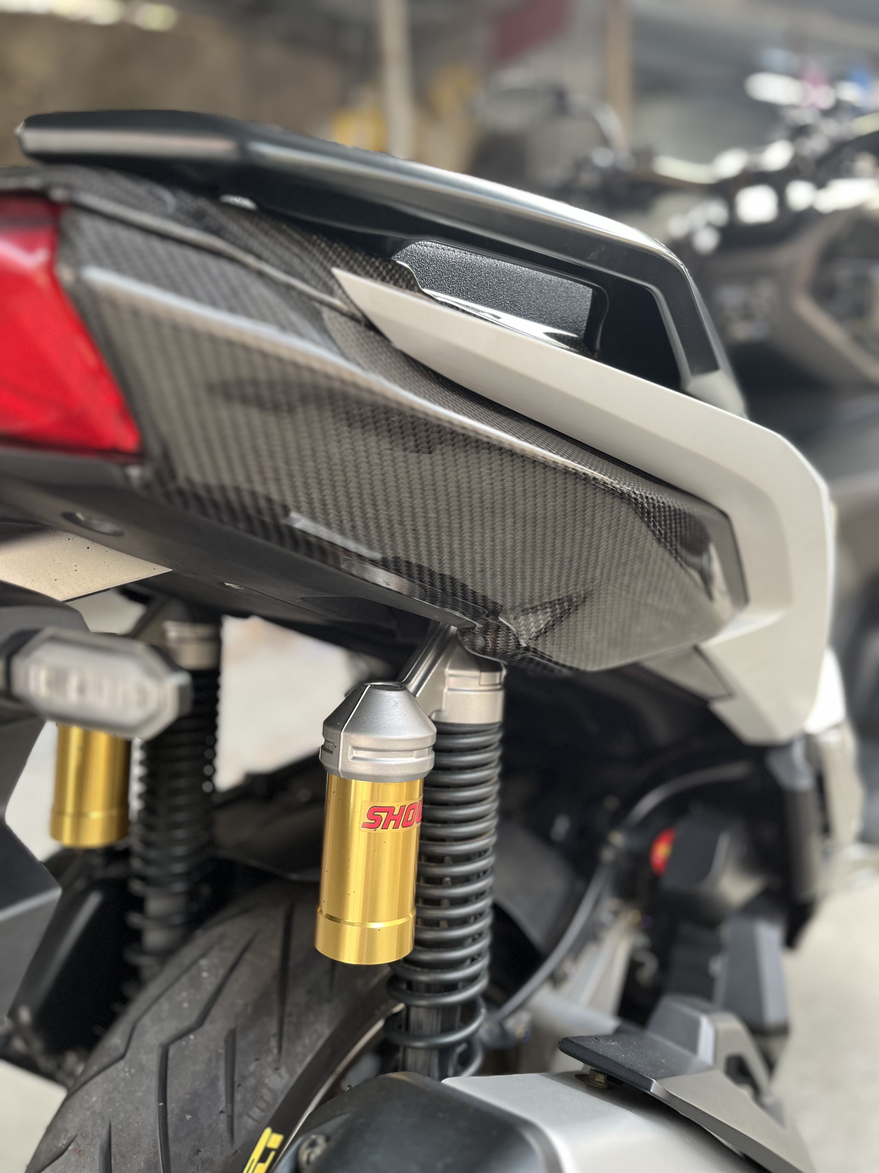 Carbon Side Panel